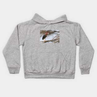 Green Heron on a Branch Kids Hoodie